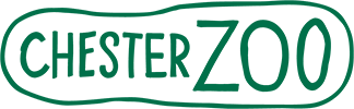 Partner 1
